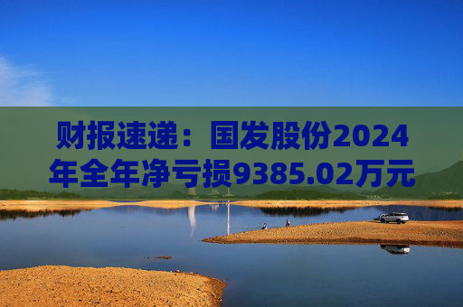 财报速递：国发股份2024年全年净亏损9385.02万元