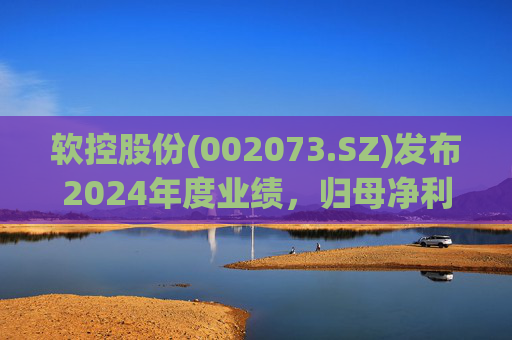 软控股份(002073.SZ)发布2024年度业绩，归母净利润5.06亿元，同比增长51.94%  第1张
