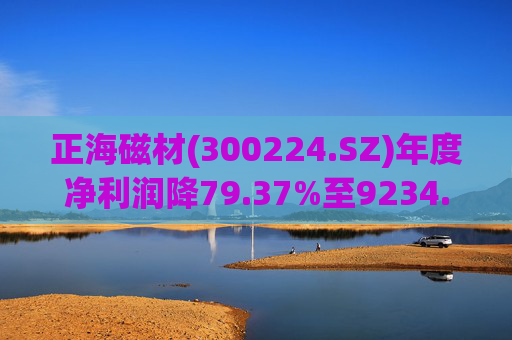 正海磁材(300224.SZ)年度净利润降79.37%至9234.02万元  高性能钕铁硼永磁材料销量实现连续七年增长