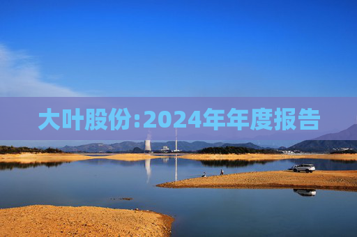 大叶股份:2024年年度报告  第1张