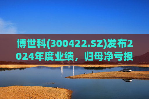 博世科(300422.SZ)发布2024年度业绩，归母净亏损8.65亿元，扩大300.66%