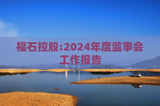 福石控股:2024年度监事会工作报告