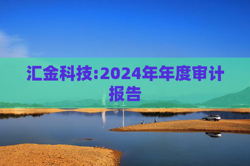 汇金科技:2024年年度审计报告  第1张