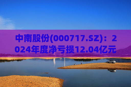 中南股份(000717.SZ)：2024年度净亏损12.04亿元