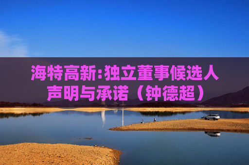海特高新:独立董事候选人声明与承诺（钟德超）  第1张