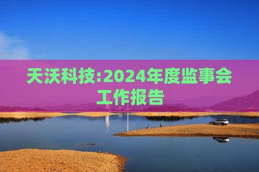 天沃科技:2024年度监事会工作报告  第1张