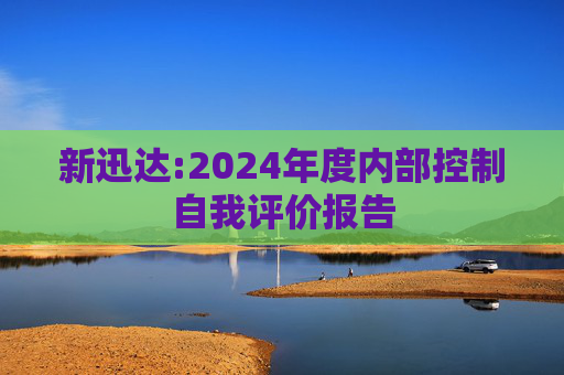 新迅达:2024年度内部控制自我评价报告