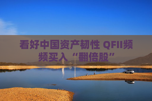 看好中国资产韧性 QFII频频买入“翻倍股”