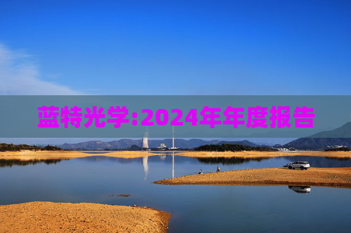 蓝特光学:2024年年度报告