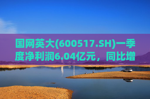 国网英大(600517.SH)一季度净利润6.04亿元，同比增长45.22%  第1张