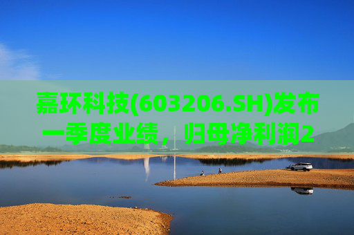嘉环科技(603206.SH)发布一季度业绩，归母净利润2021.72万元，同比下降21.02%