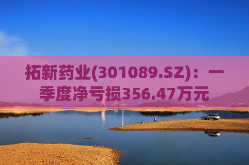 拓新药业(301089.SZ)：一季度净亏损356.47万元
