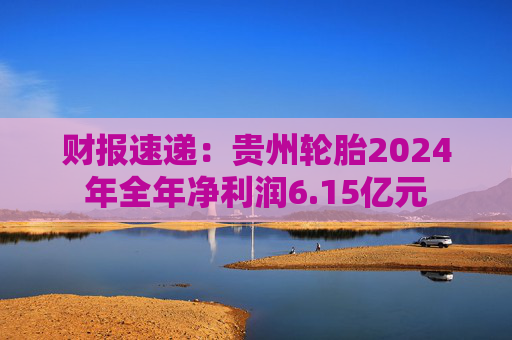 财报速递：贵州轮胎2024年全年净利润6.15亿元  第1张