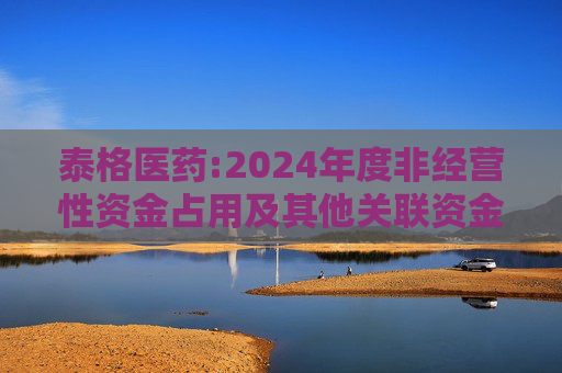 泰格医药:2024年度非经营性资金占用及其他关联资金往来情况的专项报告