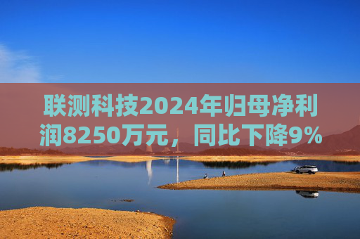 联测科技2024年归母净利润8250万元，同比下降9%  第1张