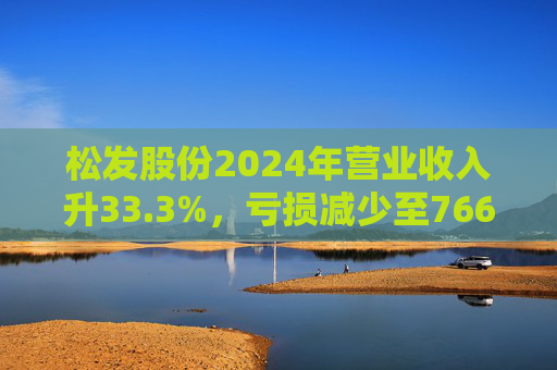 松发股份2024年营业收入升33.3%，亏损减少至7664万元  第1张