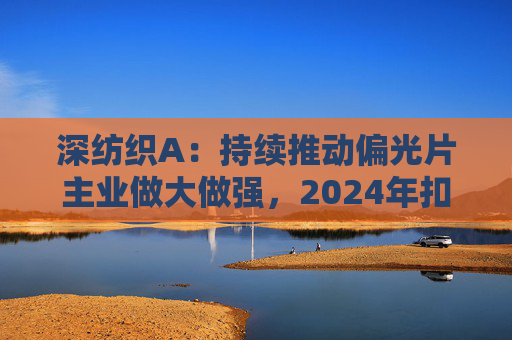深纺织A：持续推动偏光片主业做大做强，2024年扣非归母净利润增长23.58%
