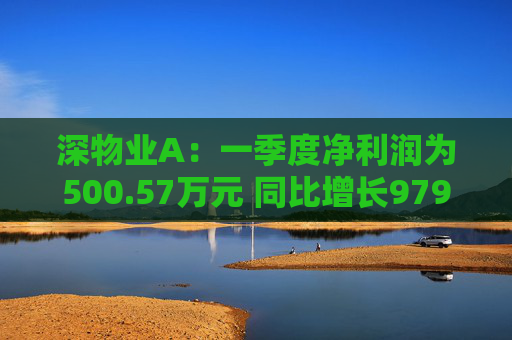 深物业A：一季度净利润为500.57万元 同比增长979.79%
