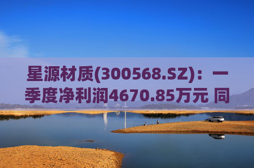星源材质(300568.SZ):一季度净利润4670.85万元 同比减少56.39%