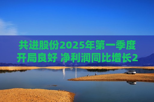 共进股份2025年第一季度开局良好 净利润同比增长267.63%