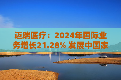 迈瑞医疗：2024年国际业务增长21.28% 发展中国家成重要增长引擎  第1张
