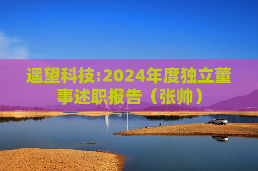 遥望科技:2024年度独立董事述职报告（张帅）  第1张