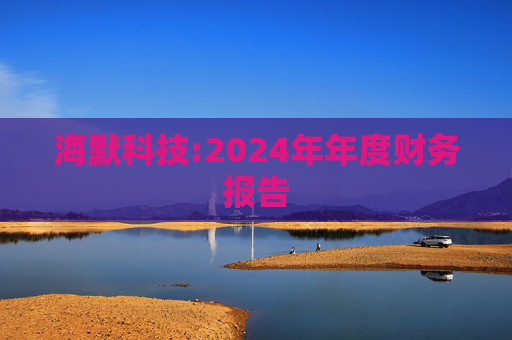 海默科技:2024年年度财务报告