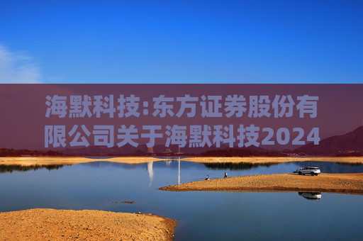 海默科技:东方证券股份有限公司关于海默科技2024年年度持续督导跟踪报告  第1张