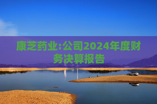 康芝药业:公司2024年度财务决算报告