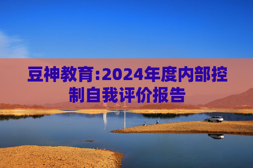 豆神教育:2024年度内部控制自我评价报告  第1张