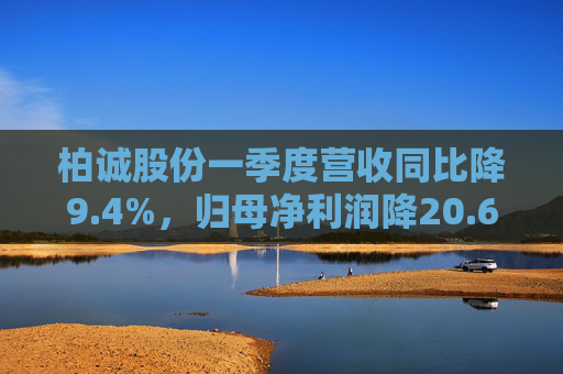 柏诚股份一季度营收同比降9.4%，归母净利润降20.6%