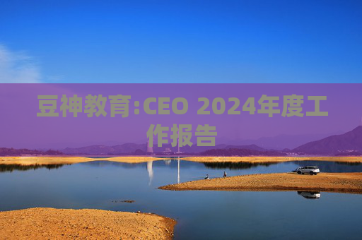 豆神教育:CEO 2024年度工作报告