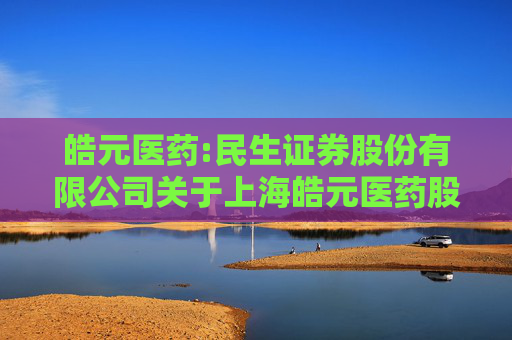 皓元医药:民生证券股份有限公司关于上海皓元医药股份有限公司申请2025年度综合授信及为子公司提供担保的核查意见