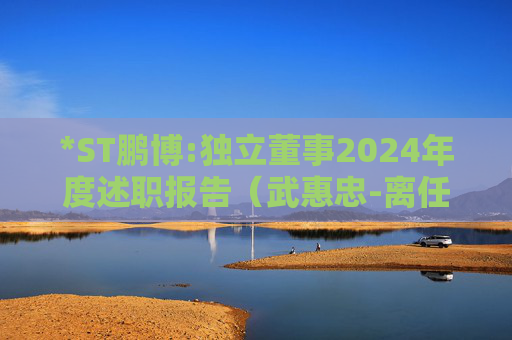 *ST鹏博:独立董事2024年度述职报告（武惠忠-离任）