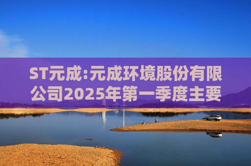 ST元成:元成环境股份有限公司2025年第一季度主要经营数据的公告  第1张