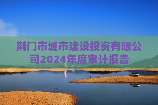 荆门市城市建设投资有限公司2024年度审计报告  第1张