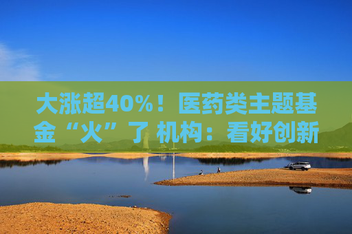 大涨超40%！医药类主题基金“火”了 机构：看好创新药投资机会  第1张