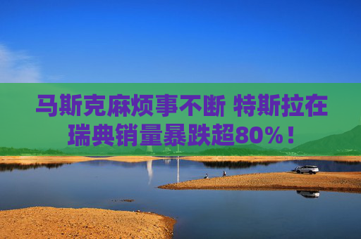 马斯克麻烦事不断 特斯拉在瑞典销量暴跌超80%！  第1张