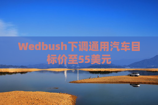 Wedbush下调通用汽车目标价至55美元