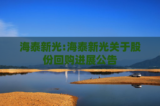 海泰新光:海泰新光关于股份回购进展公告