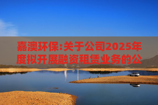 嘉澳环保:关于公司2025年度拟开展融资租赁业务的公告  第1张