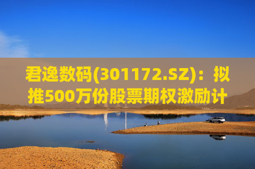 君逸数码(301172.SZ)：拟推500万份股票期权激励计划  第1张