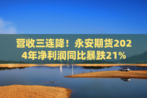 营收三连降！永安期货2024年净利润同比暴跌21%  第1张