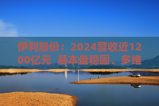 伊利股份：2024营收近1200亿元  基本盘稳固、多维度全面进阶