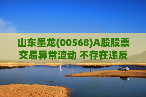 山东墨龙(00568)A股股票交易异常波动 不存在违反信息公平披露的情形