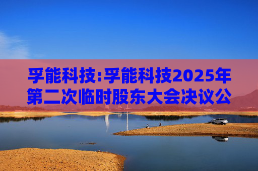 孚能科技:孚能科技2025年第二次临时股东大会决议公告