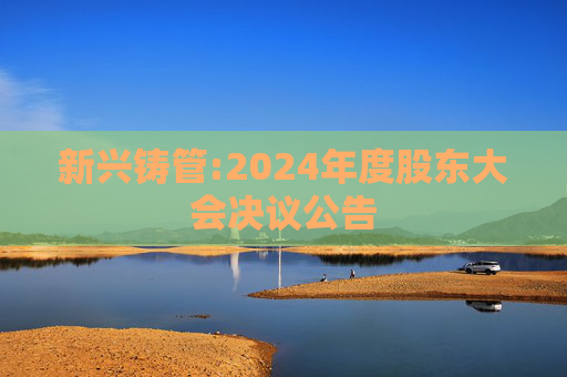 新兴铸管:2024年度股东大会决议公告