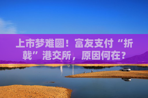 上市梦难圆！富友支付“折戟”港交所，原因何在？  第1张