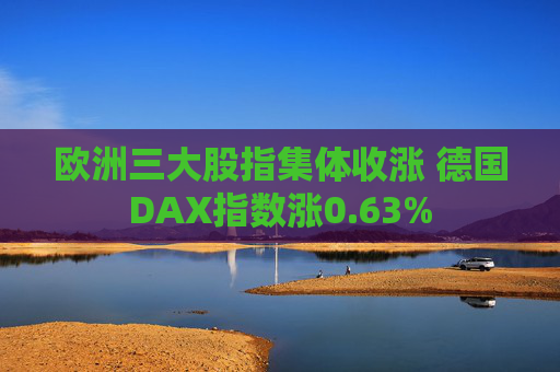 欧洲三大股指集体收涨 德国DAX指数涨0.63%