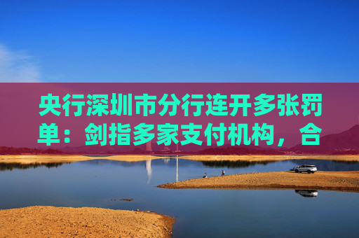 央行深圳市分行连开多张罚单：剑指多家支付机构，合计罚没超1483万元